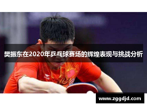 樊振东在2020年乒乓球赛场的辉煌表现与挑战分析