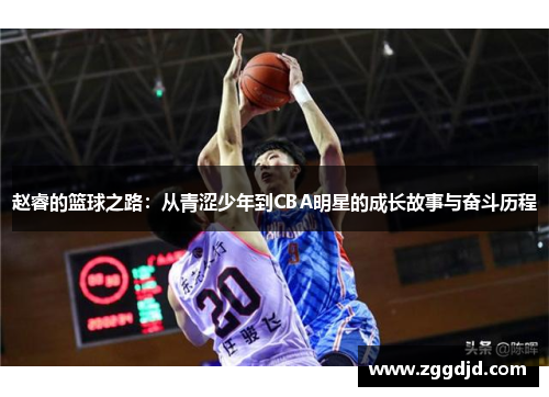 赵睿的篮球之路：从青涩少年到CBA明星的成长故事与奋斗历程